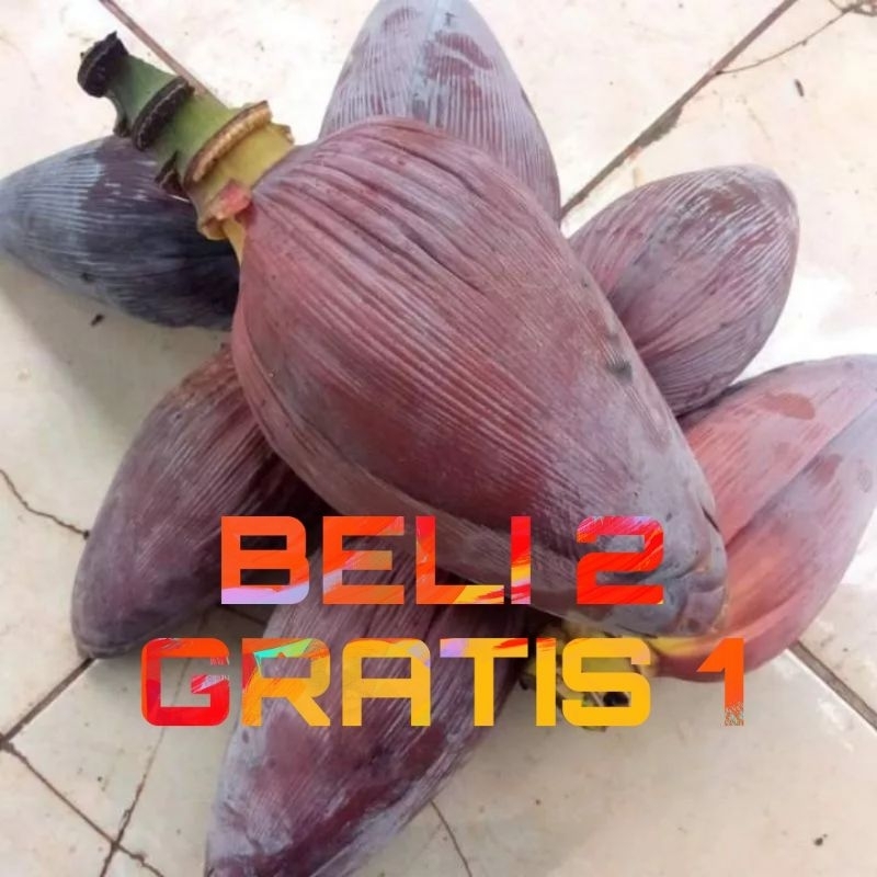 

Jantung pisang sayur opor jantung sayuran