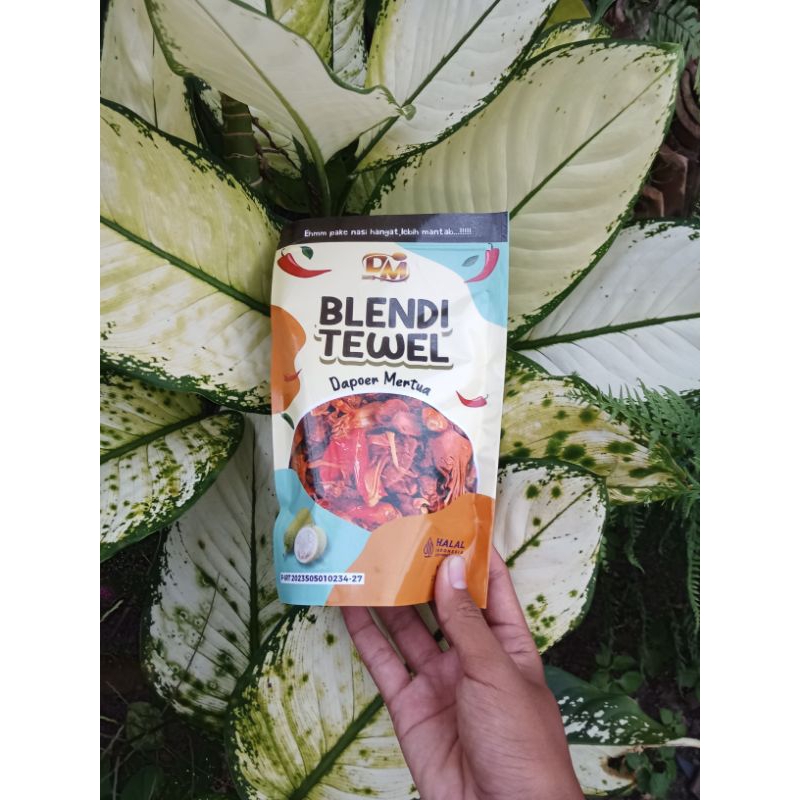 

masakan blendi tewel/nangka muda praktis