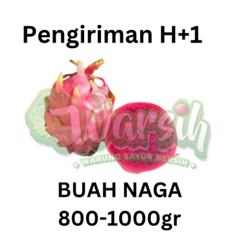 

WARSIH • BUAH NAGA 800-1000GR