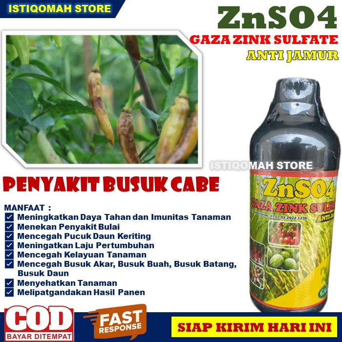 PUPUK ANTI BUSUK CABE AMPUH ZnSO4 GAZA 500ML Pupuk Pencegah Busuk Akar, Busuk Buah, Busuk Batang, Busuk Daun untuk Tanaman Cabe Cabai Rawit Cabe Hijau Merah Terbaik yang Manjur dan Murah, Obat Semprot Cabe Busuk Paling Tokcer Ampuh