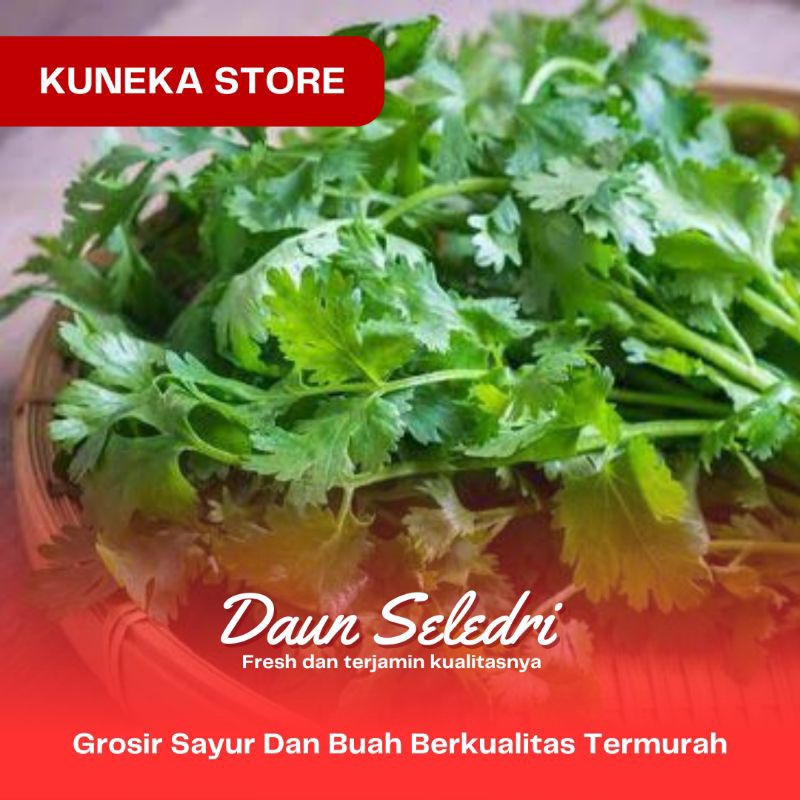 

KUNEKA DAUN SELEDRI SEGAR CELERY FRESH 150GR PRODUCT BERKUALITAS