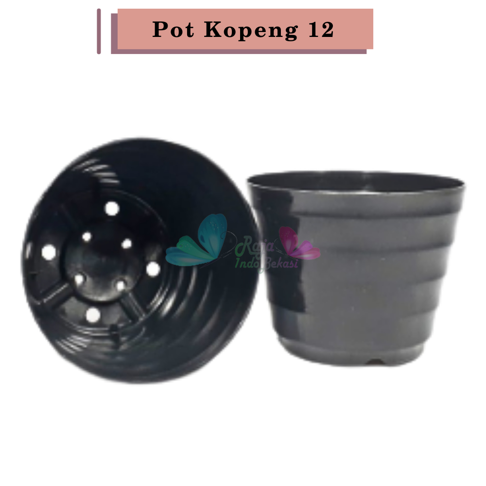 Pot Bunga Kopeng 12 Hitam By Garden Of Love Pot Plastik Mini Kaktus Murah Lucu Mirip Pot Tawon 12