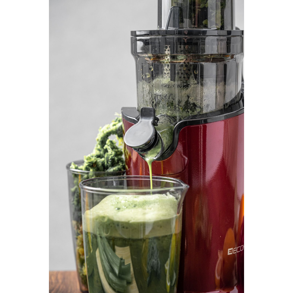 New Ecohome Slow Juicer ESJ-999 / ESJ999 / ESJ 999 Original