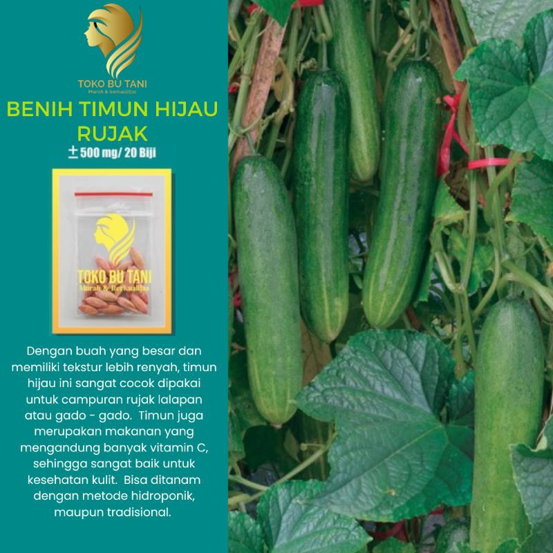 Bibit Timun Hijau Timun Rujak Benih Tanaman Sayuran Repack Berkualitas