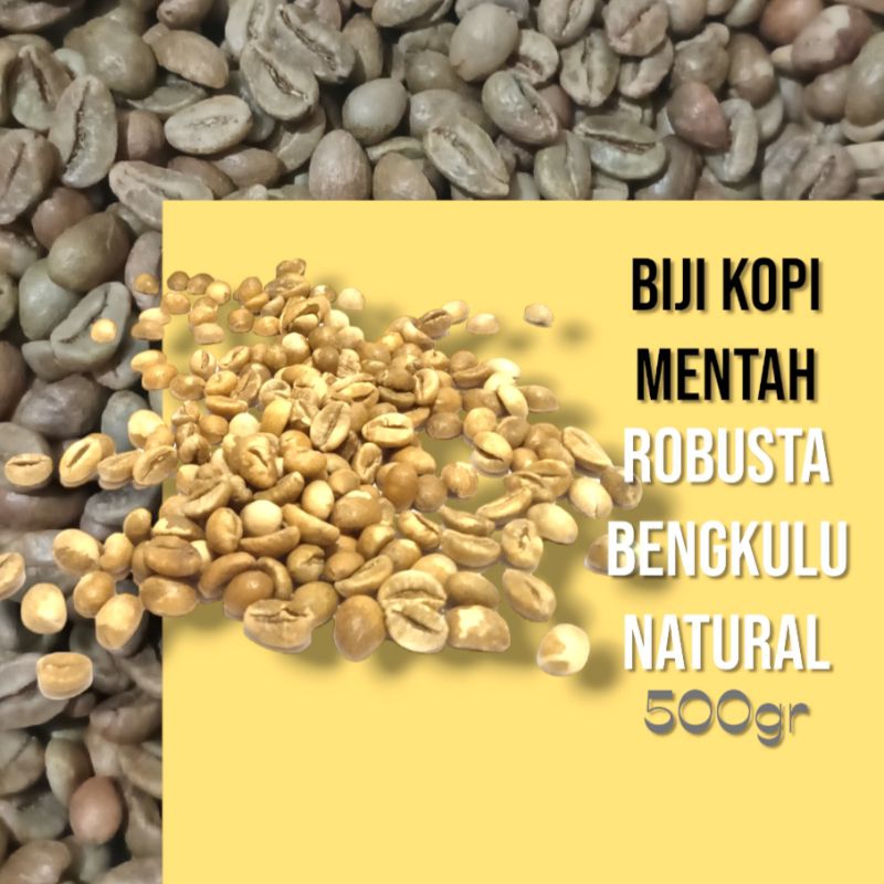 Biji Kopi Mentah Robusta Bengkulu CKL COFFEE Greenbean 500gr