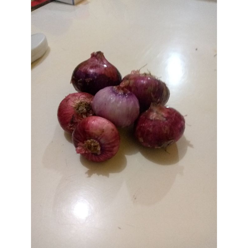 

bawang_peking_termurahberkualitas