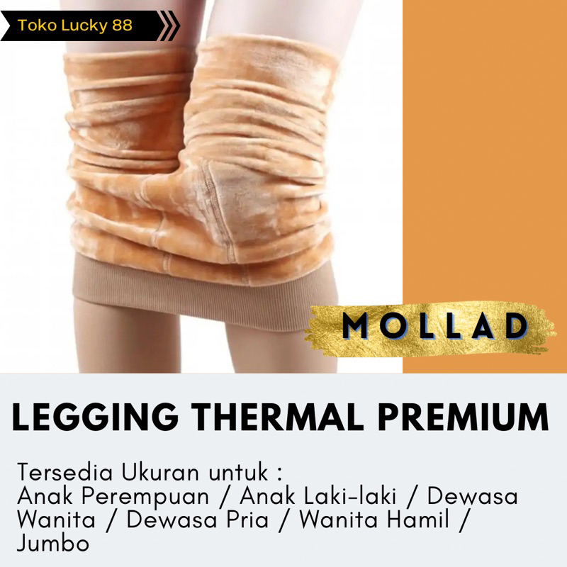 IMPORT MOLLAD Legging Thermal Premium Celana Lapis Bulu Winter Musim Dingin