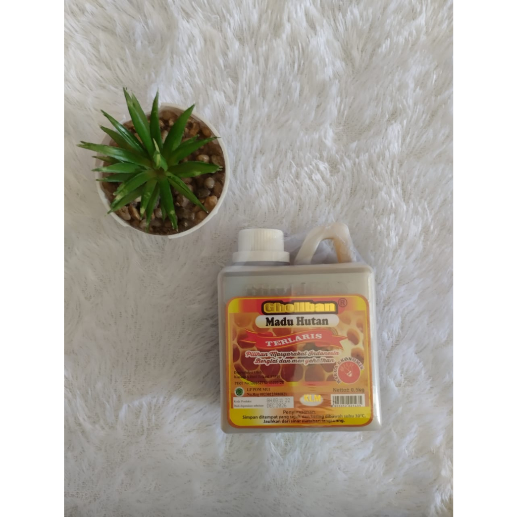 

MADU GHOLIBAN MADU HUTAN KALIMANTAN ASLI 100%/MADU ASLI 500 GR