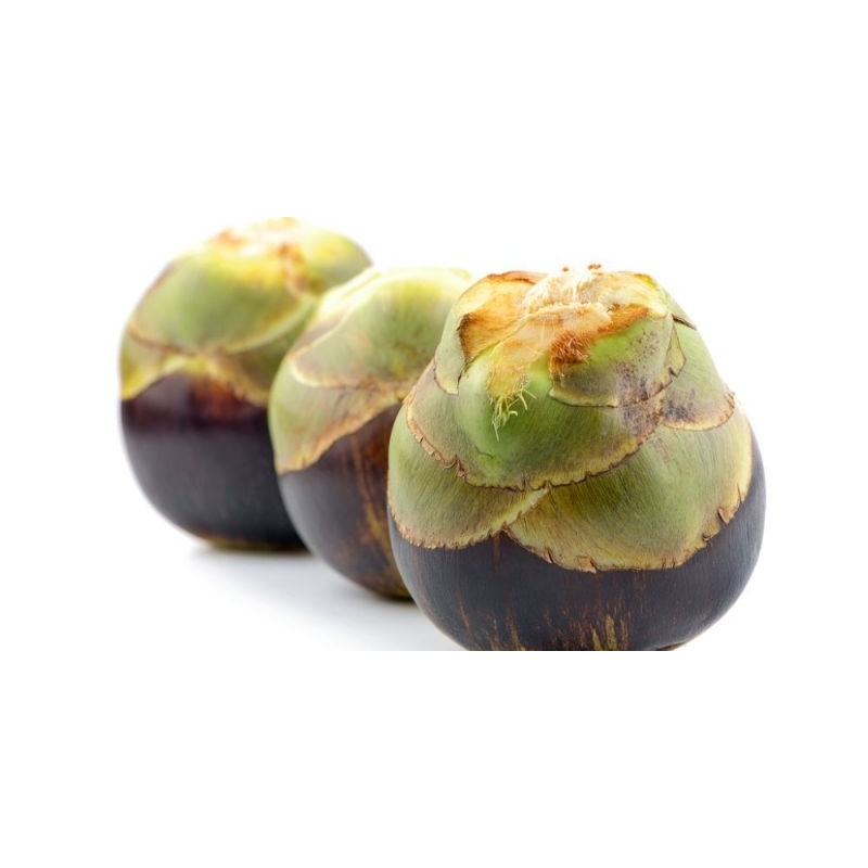 

Buah lontar per kepala