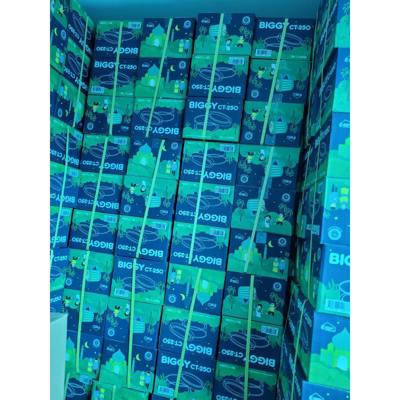 TOPLES BIGGY 500 Gram BIGGY CT 250