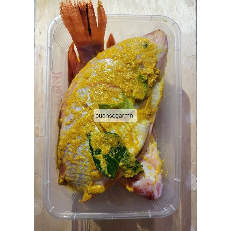 

Paket Ikan Bumbu / Ungkep Goreng Siap Masak