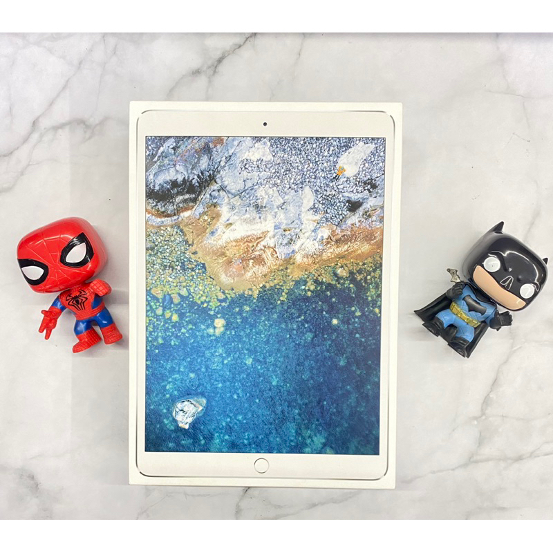 iPad pro 2017 10,5 inc 256gb WiFi celluler inter