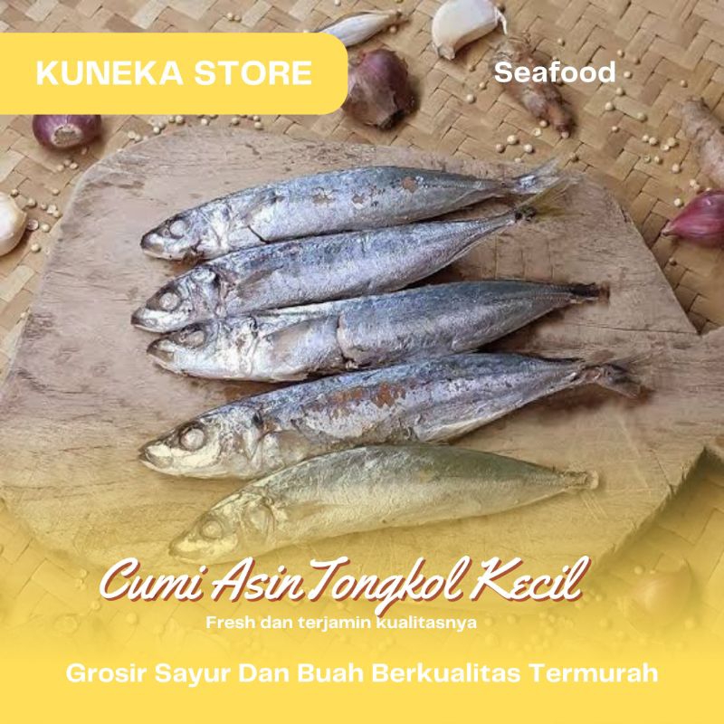 

KUNEKA IKAN ASIN TONGKOL KECIL MURAH FRESH SEGAR BERKUALITAS