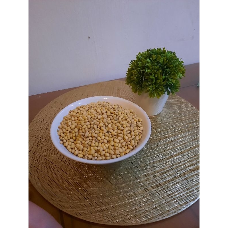 

kedelai lokal kuning....