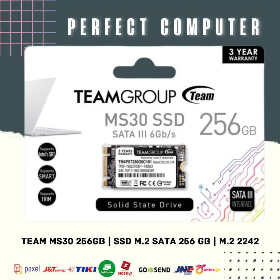 Team MS30 256GB | SSD M.2 Sata 256 GB | M.2 2242