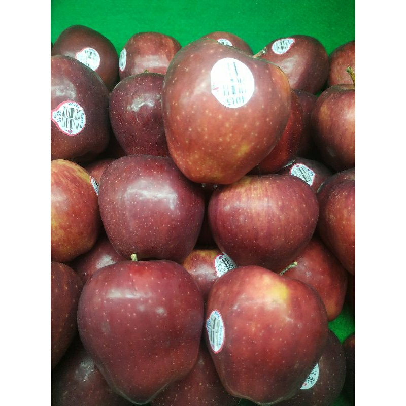 

APEL WASHINGTON 500GR