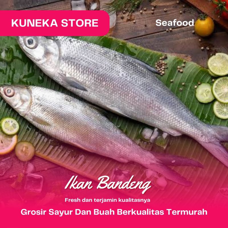 

KUNEKA IKAN BANDENG SEGAR 500GR BANDENG FRESH PROMO MURAH KUALITAS TERBAIK BEST SELLER BEST PRODUCT