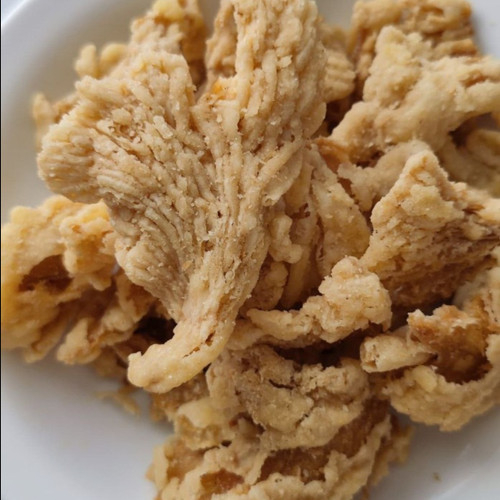 

Kripik Jamur Crispy - Keripik Jamur 1kg