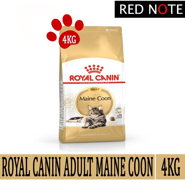 ROYAL CANIN MAINECOON 4KG