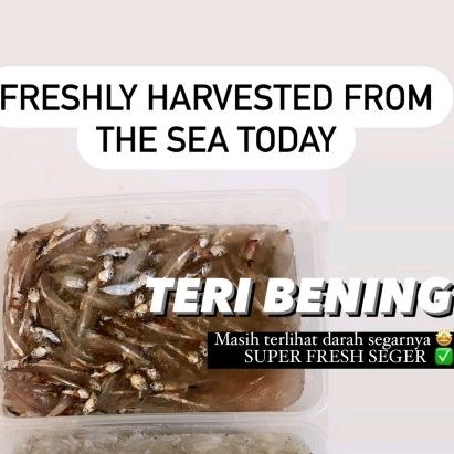 

Teri Bening Basah