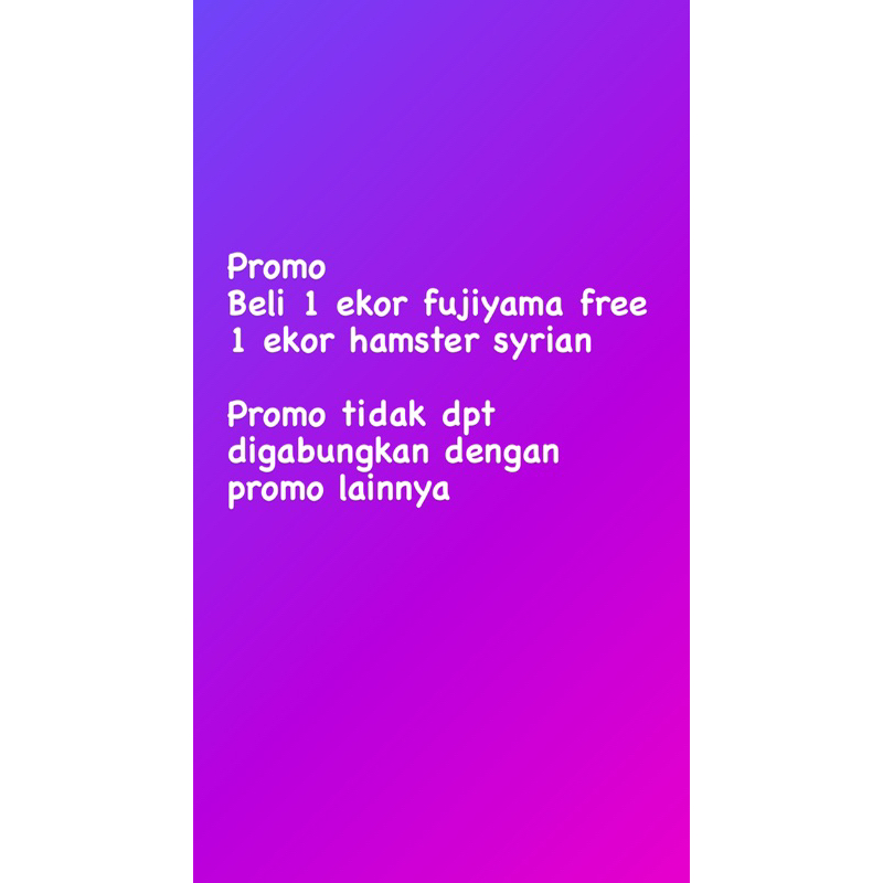 1 ekor hamster sultan fujiyama free 1 ekor syrian