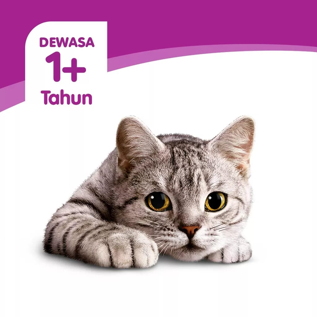 WHISKAS® Tasty Mix Pouch 70gr All New Variant Makanan Basah Kucing