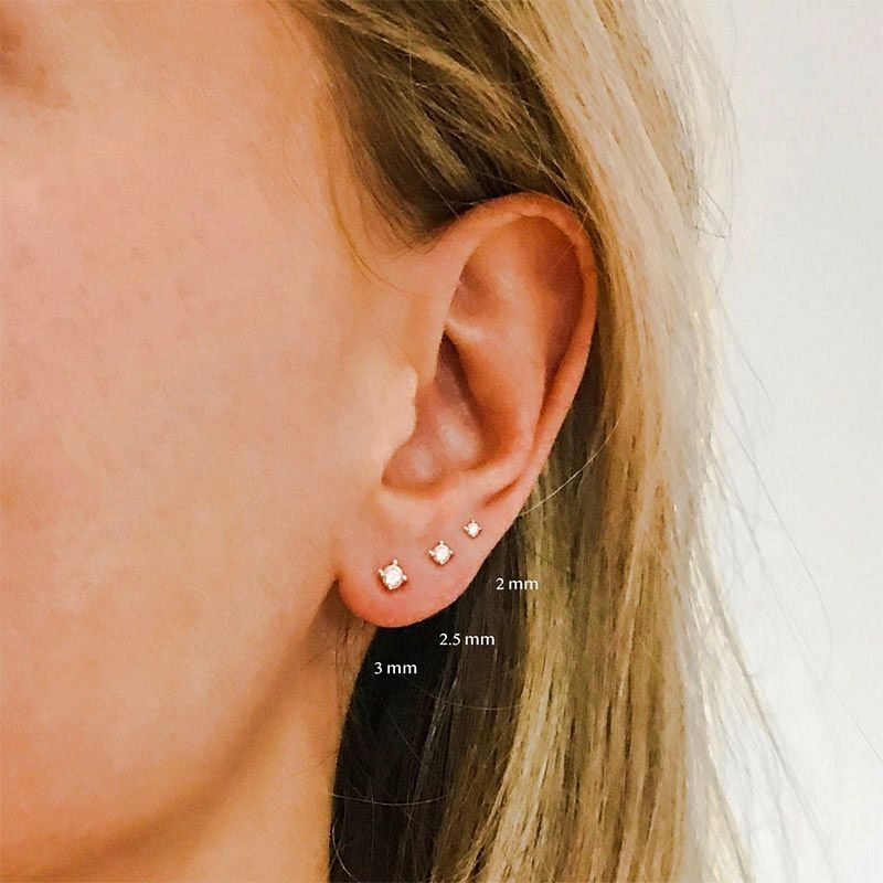 (2pcs) Anting korea rose titanium untuk wanita