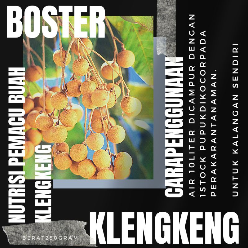 BOOSTER KLENGKENG BOSTER KLENGKENG PUPUK KLENGKENG PENYUBUR KLENGKENG