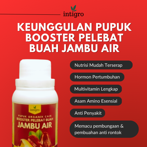 Pupuk Jambu AIr Booster 100 cc / Pupuk Pelebat Buah Jambu Air / Pupuk Perangsang Buah Jambu Air / Pu