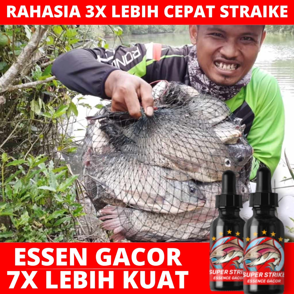 ESSENCE ikan GACOR SUPER STRAIKE - Essence ikan jitu dan ampuh Pancing Aroma Gurih & Amis Untuk Babo