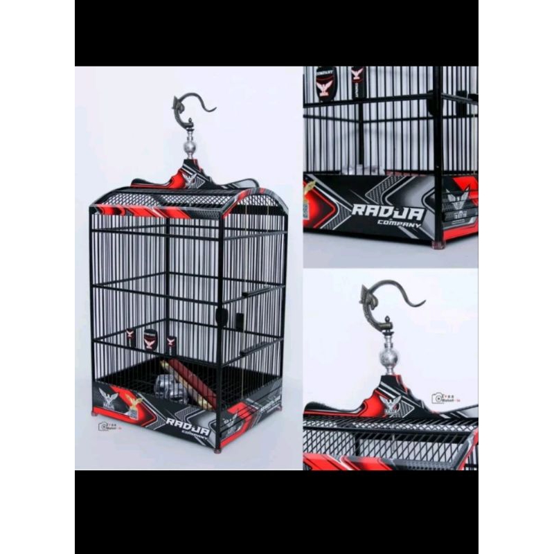 Sangkat kotak Radja decal