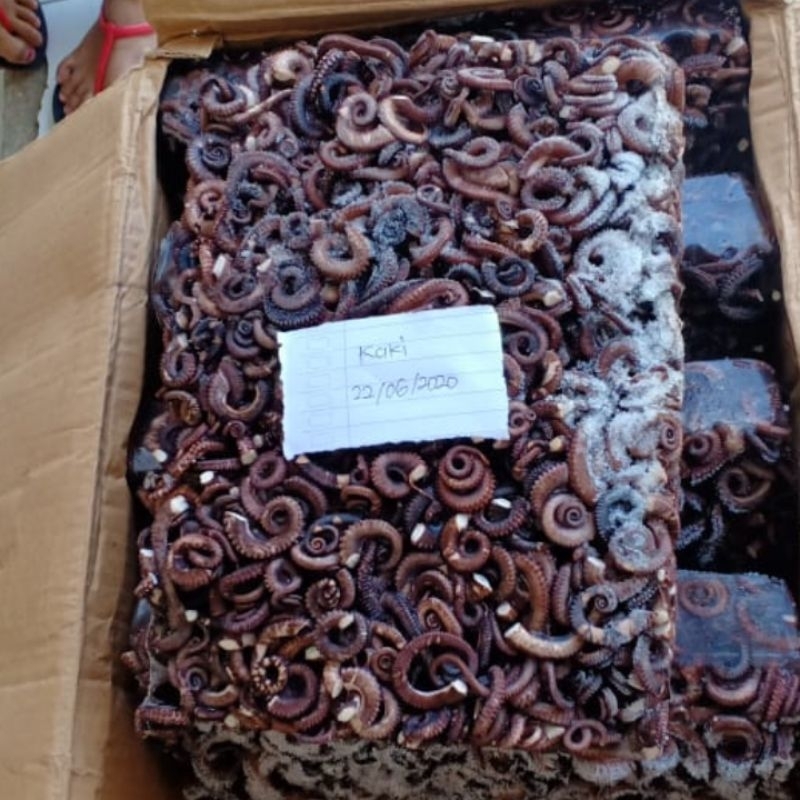 Gurita beku ujung kaki matang surabaya