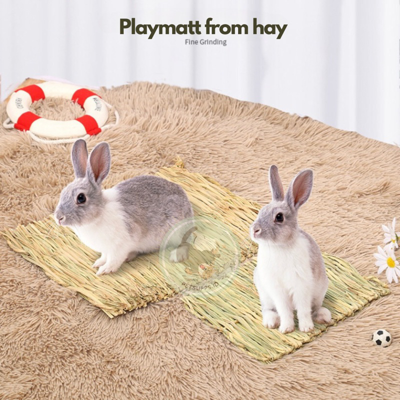 Alas kandang rumput hay kelinci | hamster chinchilla guinea pig | karpet rumput binatang kecil