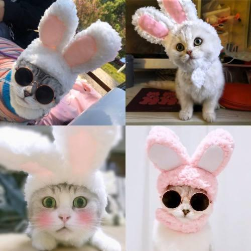 Bunny Hat for Cat - Topi Telinga Kelinci Untuk Kucing Cosplay Rabbit Ear Hat for Cat Dog Cute