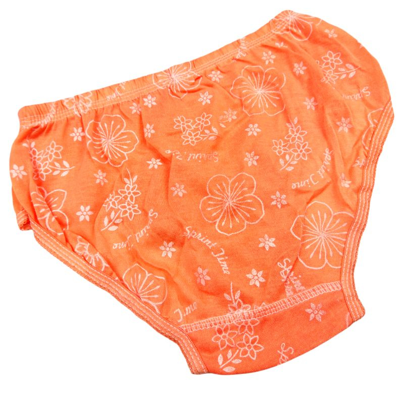 TERLARIS... CELANA DALAM WANITA NOBEL MOTIF BUNGA / CELANA DALAM SABLON / UNDERWERE WANITA MURAH / C