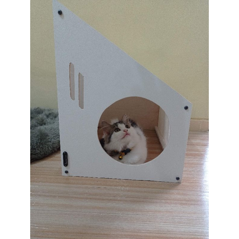 Rumah Kucing, Tenda Kucing, Cat House Indoor