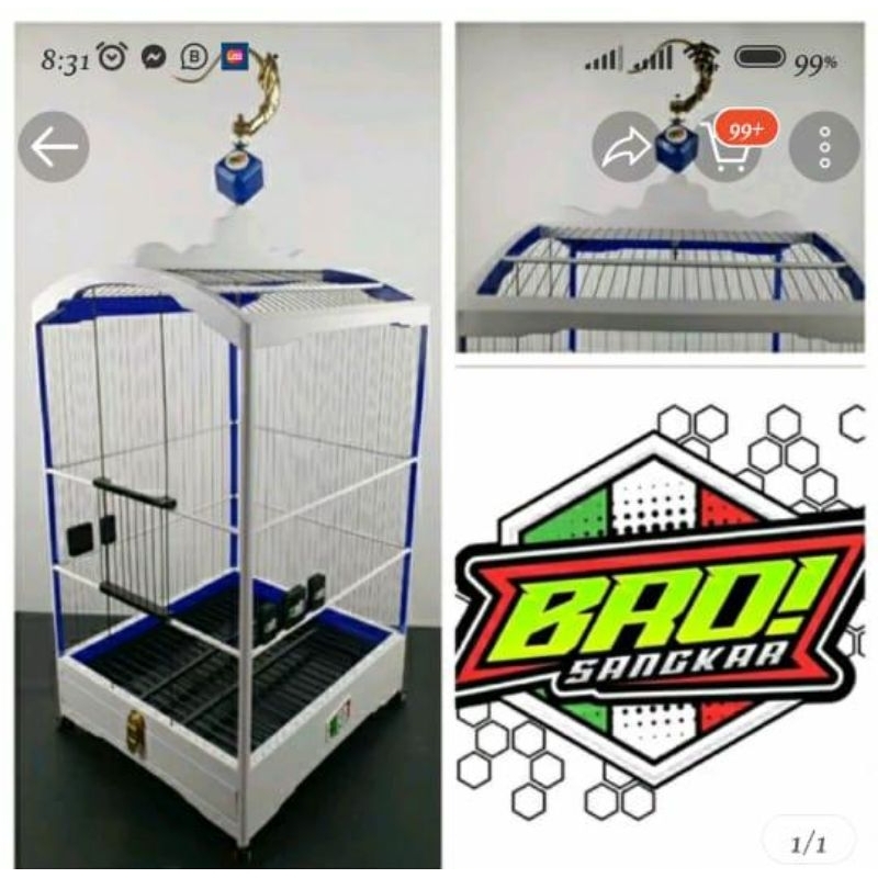 sangkar burung mentahan Ambrukan  model Bro