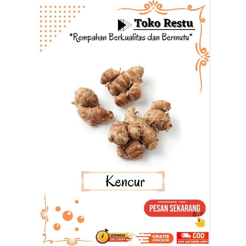 

Kencur by Toko Restu - Rempahan Berkualitas dan Bermutu
