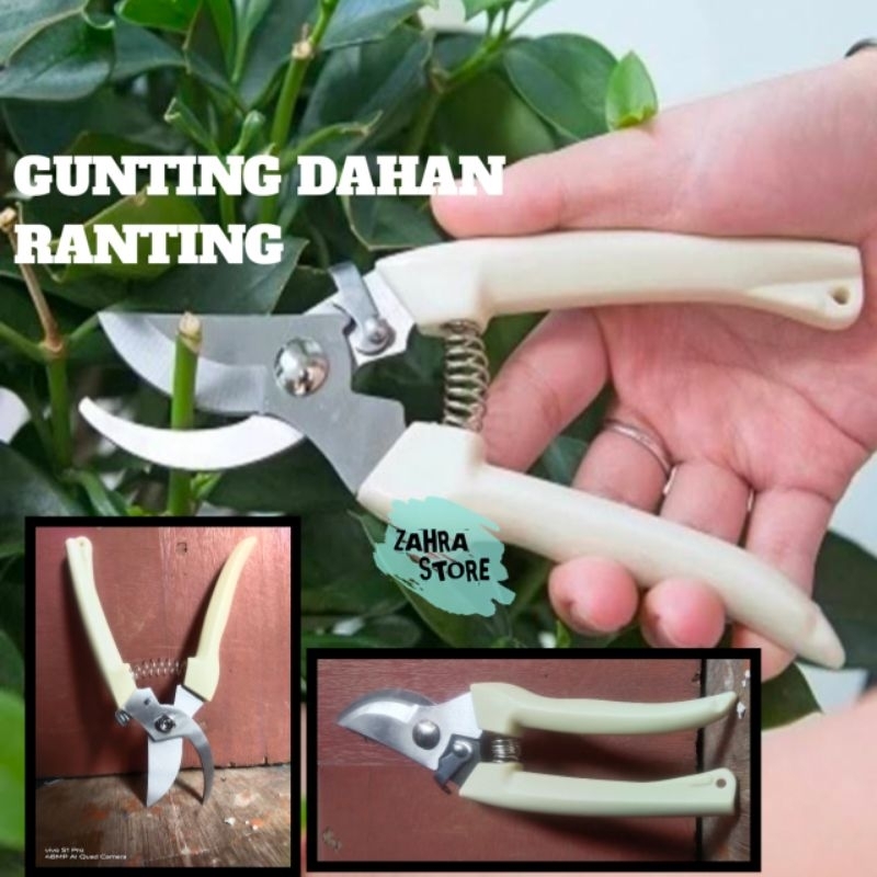 Gunting Dahan gunting ranting pohon