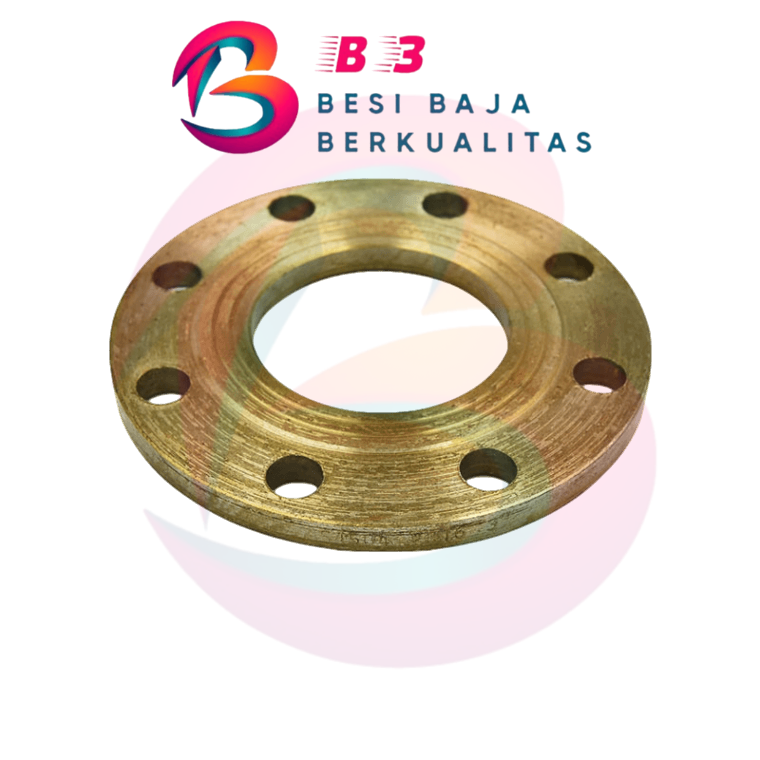 Flange Besi PN 10 NS 8 inch