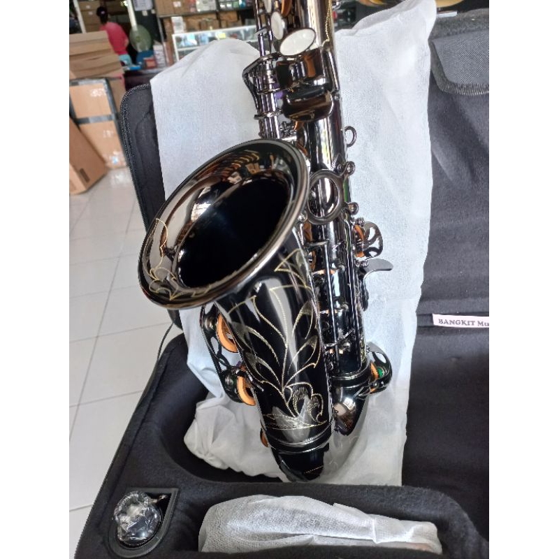 SAXOPHONE PALADIN SAXOPHONE ALTO ORIGINAL PALADIN BABY SAXOPHONE SAXOPHON