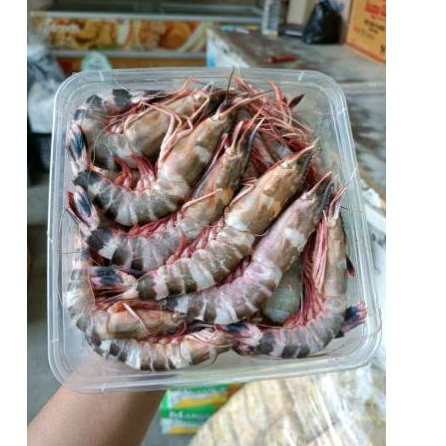 

Udang windu 1kg frozen