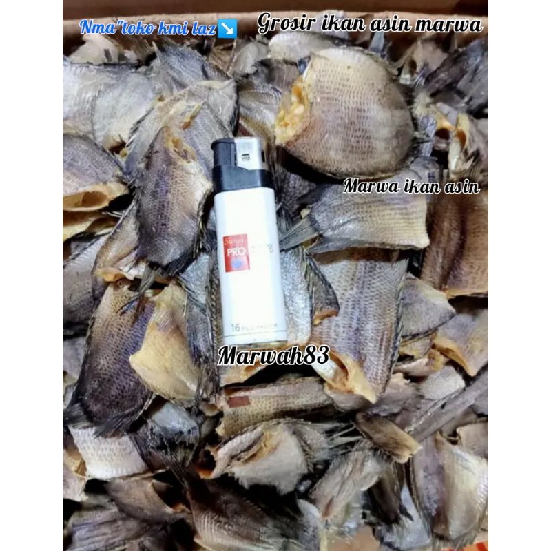 

ikan asin tembakang ikan asin sepat bulan kualitas super harga murah 1.kg