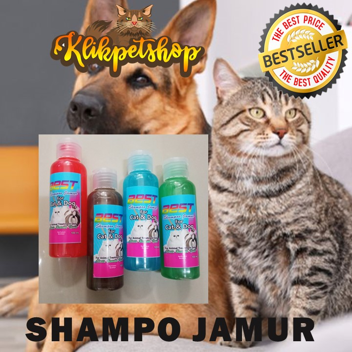 Shampoo Jamur Kucing, Anjing 100 ml Best Termurah