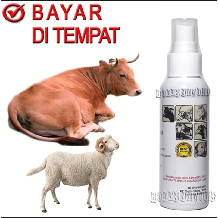 SUPRANEX OBAT SEMPROT LUKA KORENG GUDIX JAMUR SAPI KAMBING ANTI KUTU PARASIT AMPUH