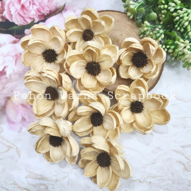 Bunga Klobot Teratai Pompom / Bunga Klobot Kering Mahar