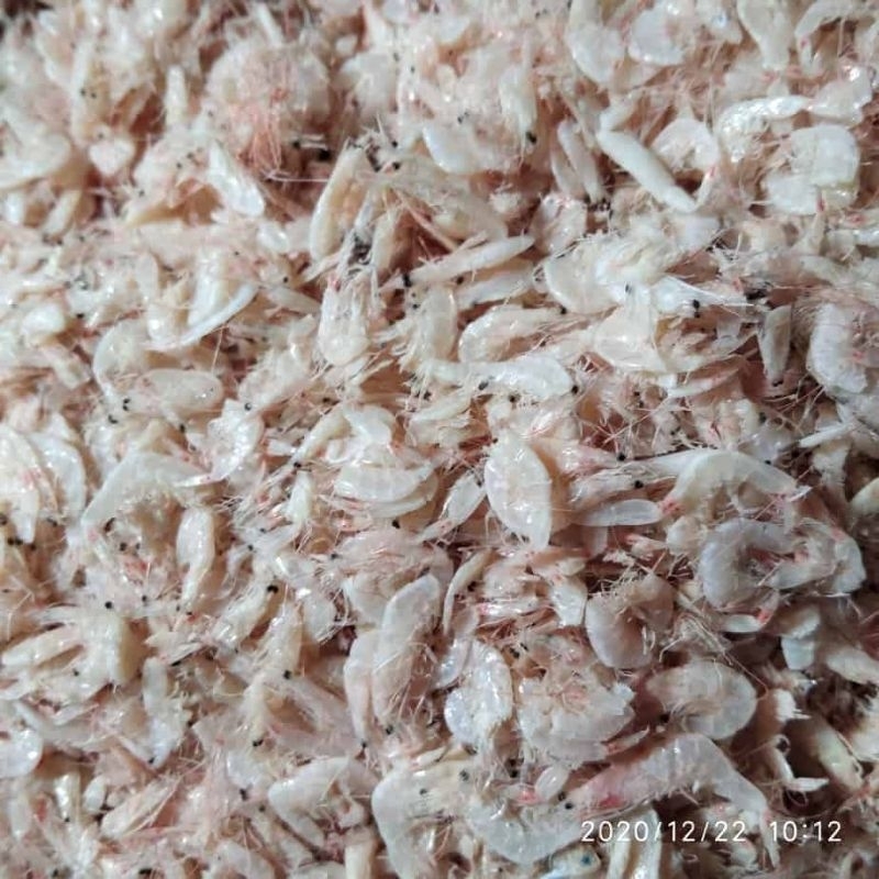 

Udang rebon tawar 250 gram - KIRIM INSTAN