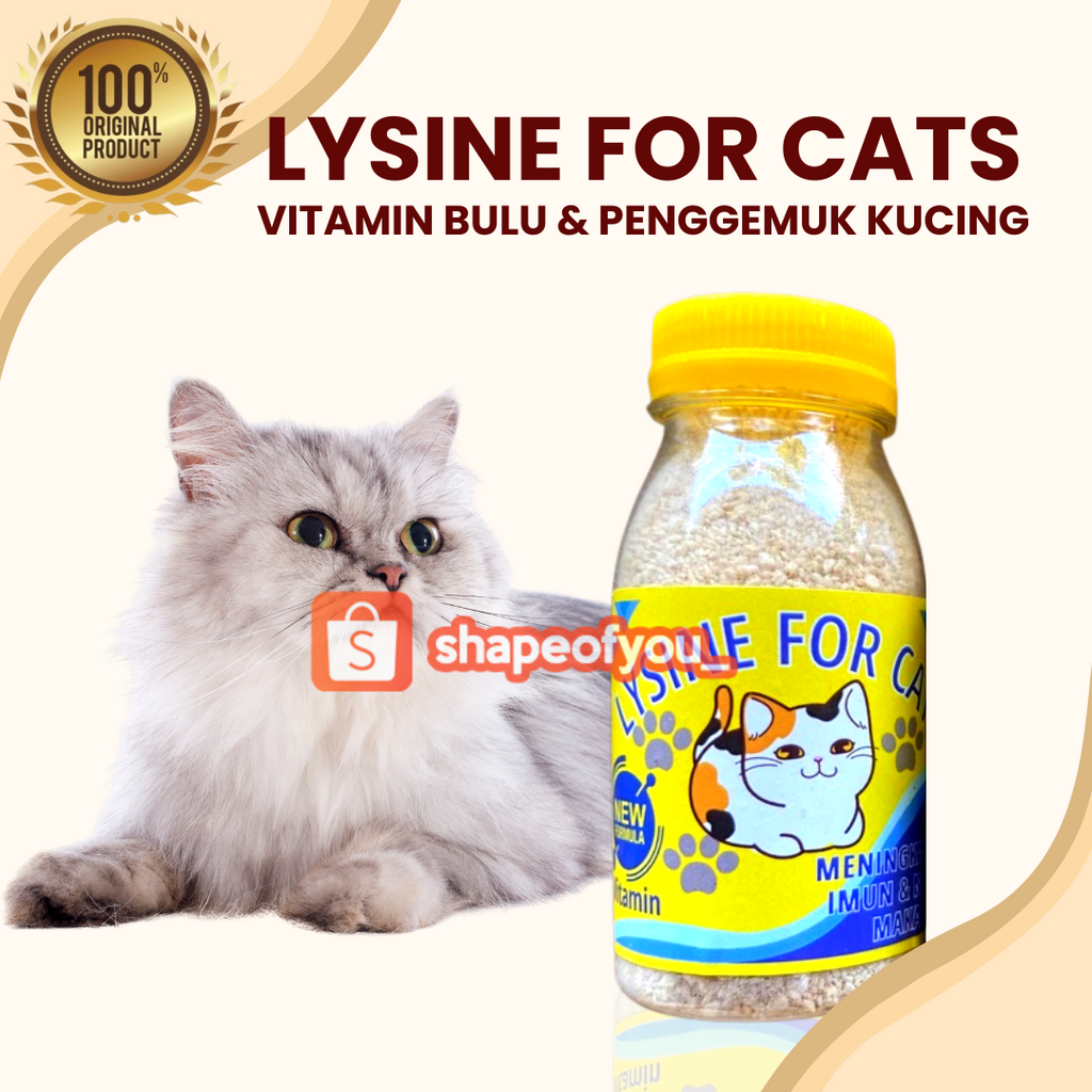 Vitamin Lysine Penggemuk Kucing Kitten Lisine Plus Vitamin Penambah nafsu makan Hewan Lengkap Cat Lisine