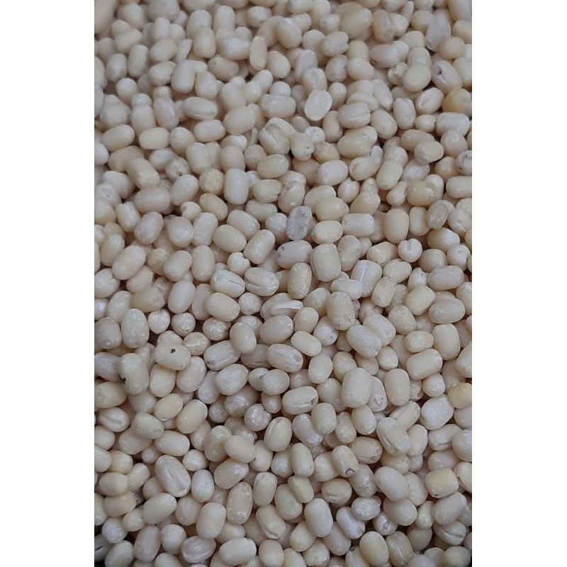 

Urad Dal Whole White - Sabut Dhuli Mash - White Lentils 500gr