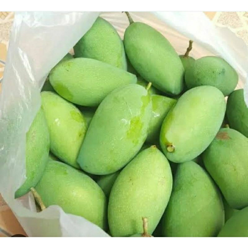

manggu muda fresh 1kg